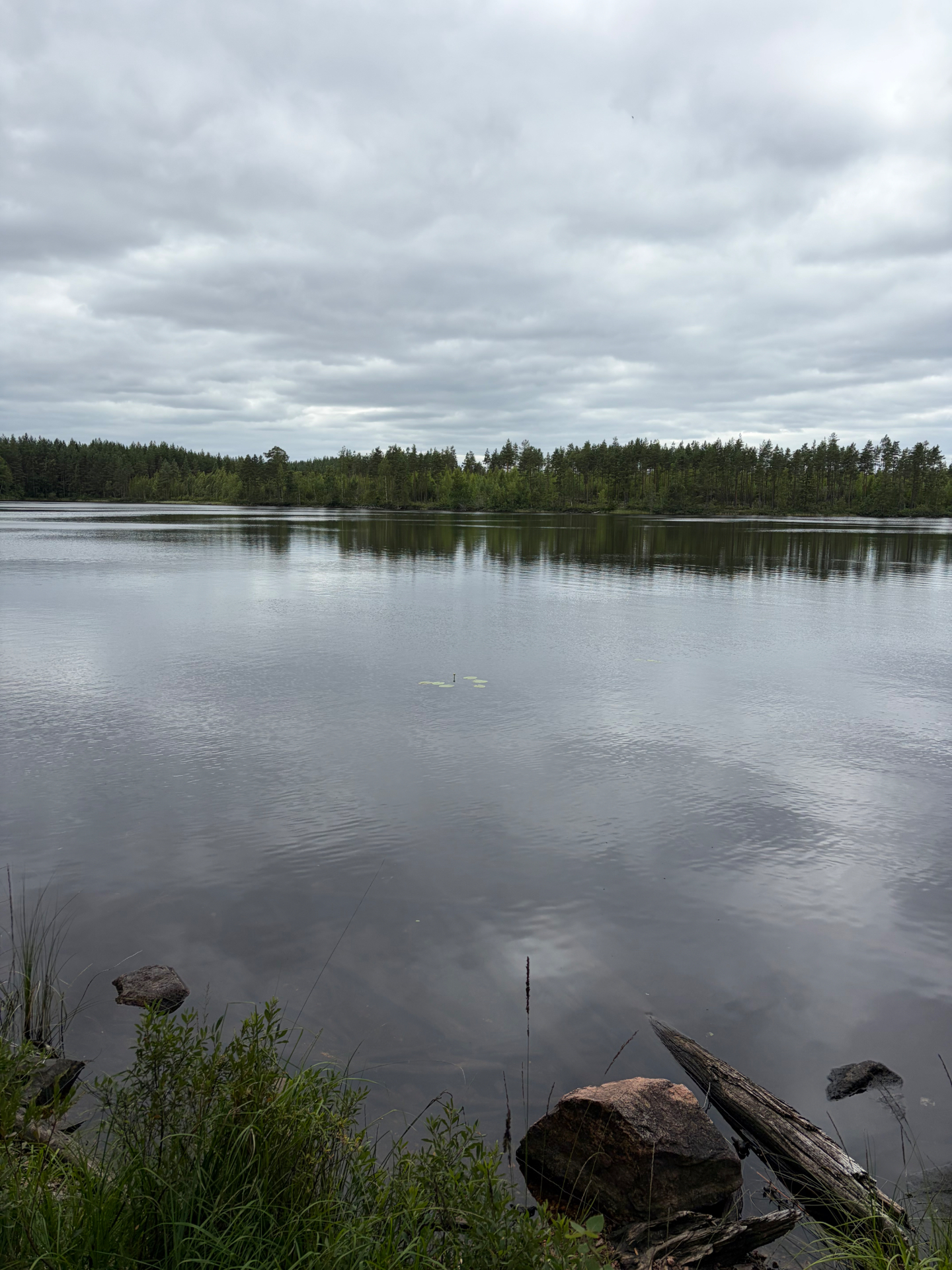 En stille sø med skovbryn i horisonten