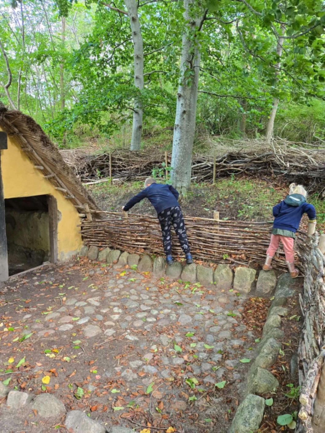 Børn udforsker et flettet hegn ved Vikingepladsen